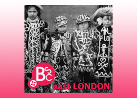 Bscel_show