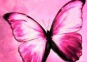 Pinkbutt_show