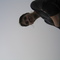 2ba60d100a7d902893931674808890ca5e0ba339_thumb