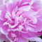 5d5080337a3bb47f694d5f6237d1b8966f9c866c_thumb