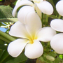 9ccc50212b116eb71e55ce8ec634542ac78104b3_large