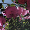 4f194ac28144ee368da9aae74c97dd657ef2d0ec_thumb