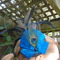 Fascinator_1_thumb