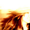 E607e1c54dfc3671ac300c47fe3d22c1902fe01c_thumb