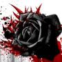 Rose_large