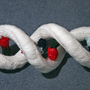 Dna_best-_3255b_large