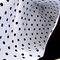 7f5a73cc7c32abcea3d1acea3e1638ad7f101bdf_grid