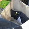 Dscn8550_grid
