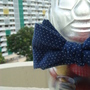 Dsc04340_thumb