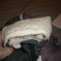 P9180030_thumb